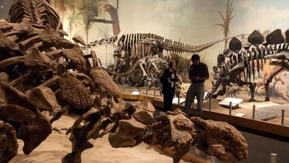 Drumheller: tour de un día sobre dinosaurios, museos y Hoodoos