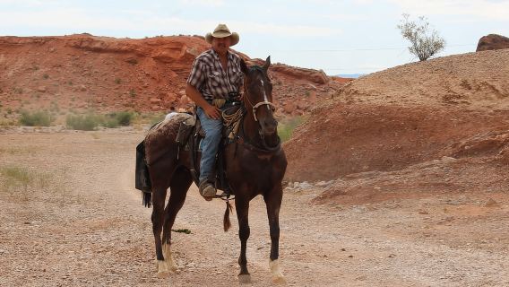 Las Vegas: tour a cavallo con pranzo