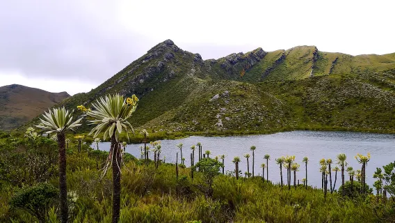 Chingaza: Gunung Air