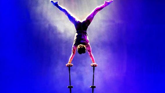 Shenzhen · "Encounters" Grand Acrobatic Show (Thrilling Aerial Stunts + Elegant Ballet Acrobatics + Interactive Clown Comedy + Immersive Sound Effects + High-Altitude Silk Suspension)