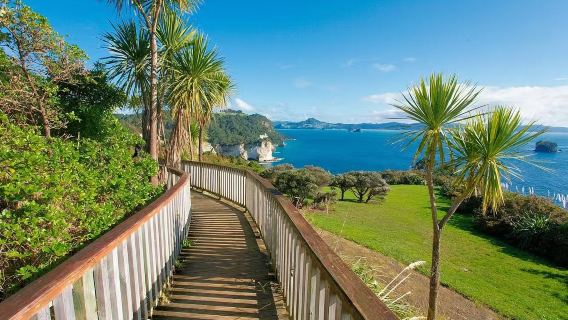 教堂灣海岸徒步+熱水沙灘自製溫泉：奧克蘭包車一日遊