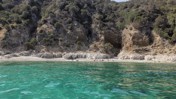 Olbia: Lawatan Memerhati Lumba-lumba dan Menyelam Snorkel di Pulau Figarolo