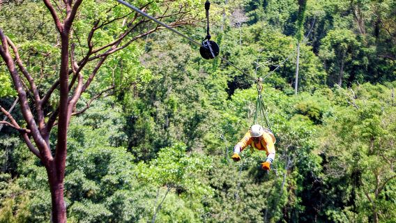 Monteverde: Longest & Highest Extreme Zipline with Transport