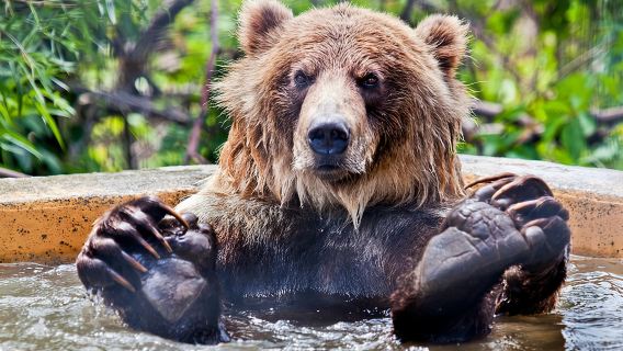 Skip the Line: Kamloops BC Wildlife Park Admission Ticket