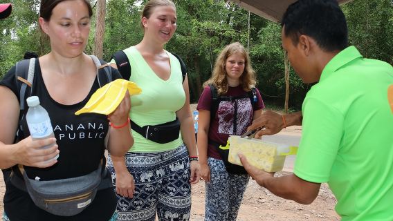 Angkor Wat and Small Circuit Temples by Private Transport