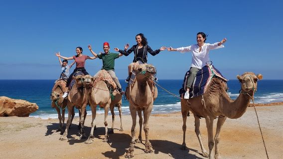 Best of Tangier: Camel Ride, Medina Walk & Breathtaking Views