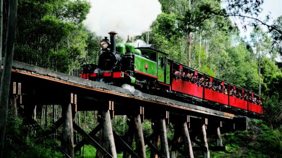 Excursion d'une journée à Melbourne avec le train à vapeur Puffing Billy et la parade des manchots