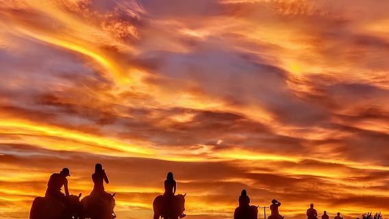 Wild West Sunset Horseback Ride with Dinner from Las Vegas