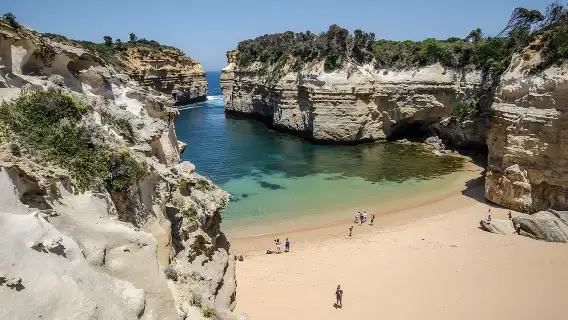 Great Ocean Road, 12 Apostles, Rainforest & Morning Tea-Melbourne