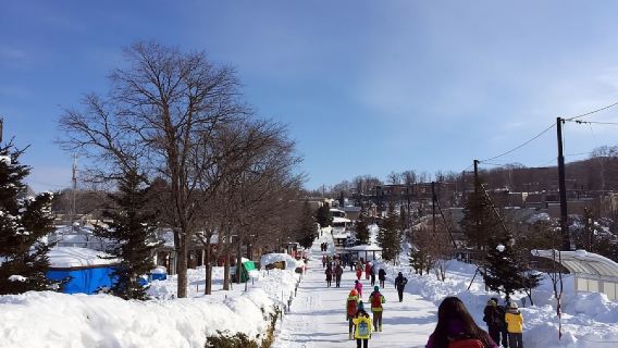 日本北海道+旭川+肯和瑪麗之樹一日遊/行程可調-可定制多日