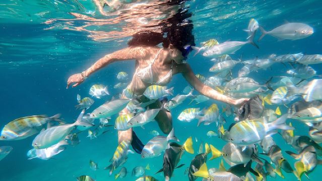Tour de esnórquel y paseo en barco con fondo de cristal en Cabo San Lucas
