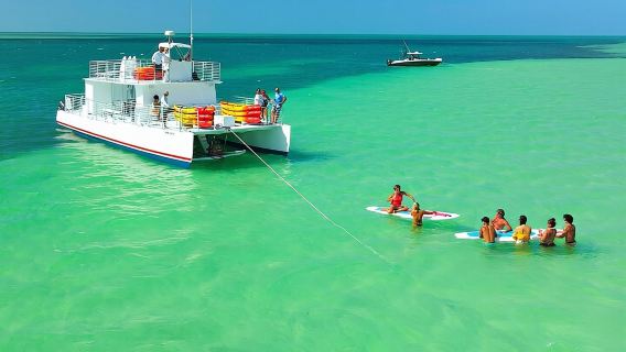 Safari en banco de arena con todo incluido y encuentro con delfines en el parque infantil