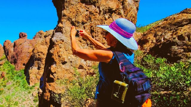 Exclusive: Happy Cactus Tour to Apache Trail & Superstition Mtn