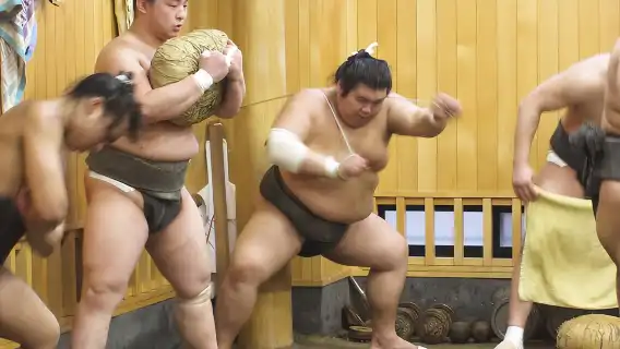 Sumo Morning Training Watch in Tokyo,Hotel-pickup w/English guide