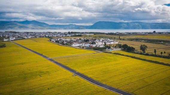 雲南大理洱海+喜洲+雙廊+磻溪S灣網紅灣麥田打卡點+理想邦一日