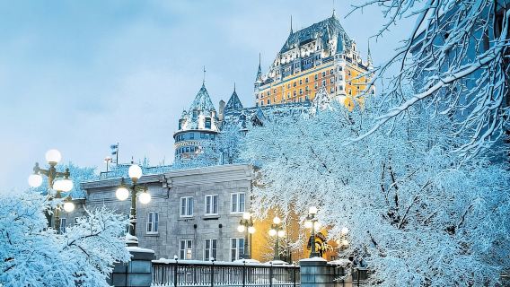 From Montreal: Quebec City & Montmorency Falls Full Day Trip