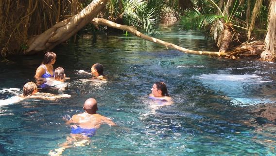 Arusha: Lawatan Sehari Mata Air Panas Kikuletwa dengan Makan Tengahari