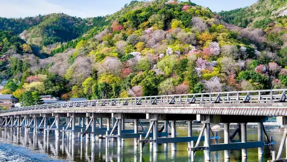 Kyoto/Osaka: Kinkakuji, Bamboo Forest, and Nara Deer Park