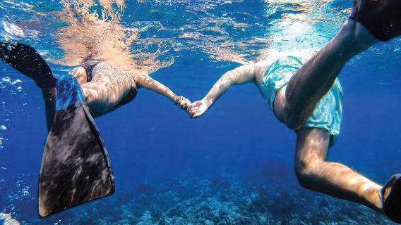 Maui: Halbprivate Öko-Raft-Lanai-Schnorchel- und Delfintour