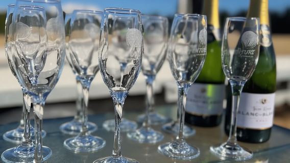 Wanaka: Scenic Hot Air Balloon Flight