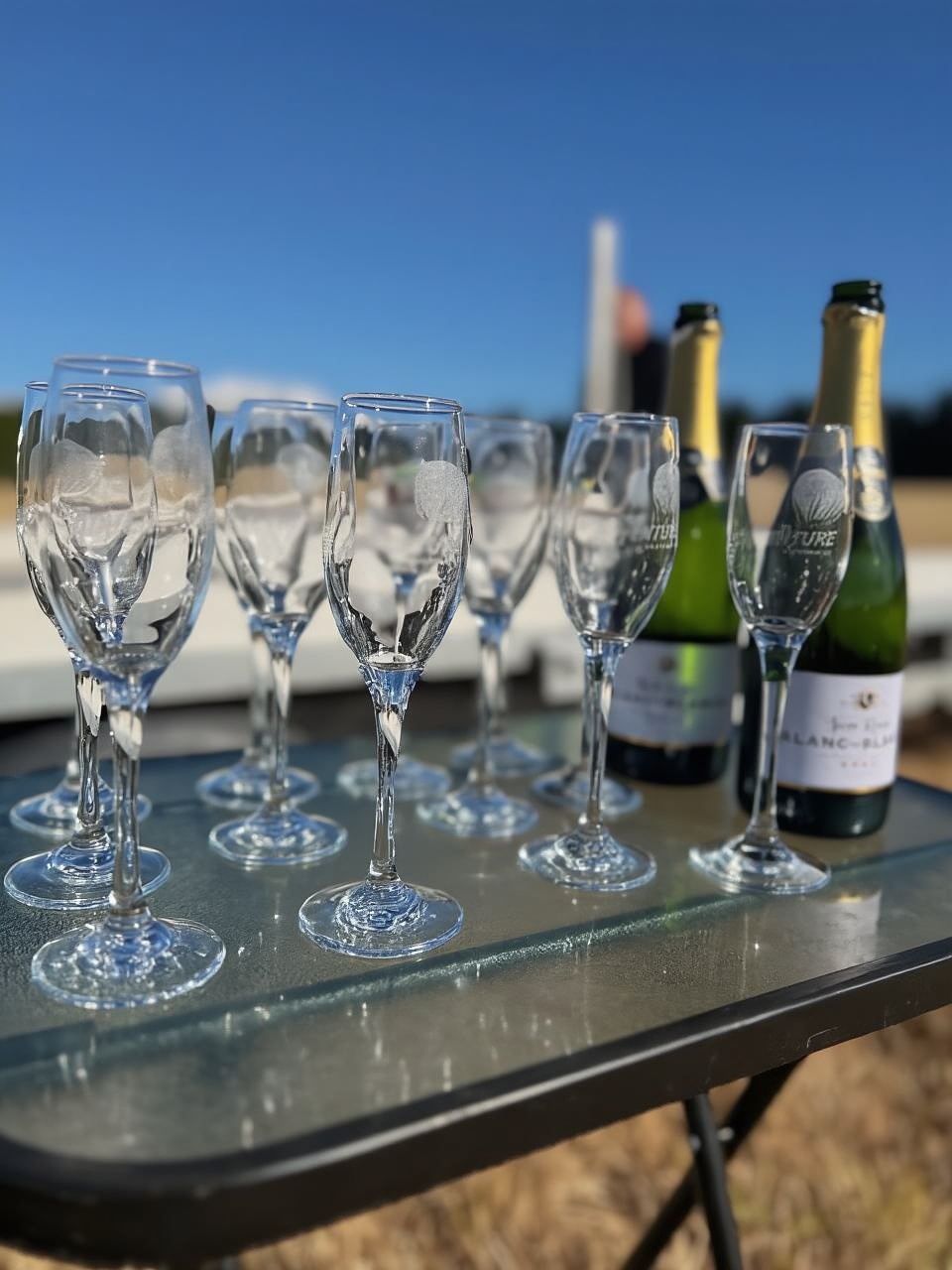 Wanaka: Scenic Hot Air Balloon Flight