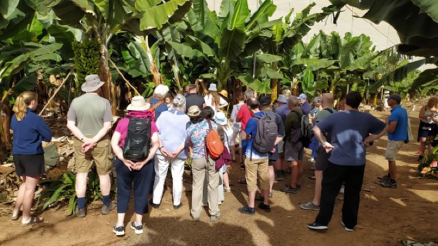 Tenerife: Finca Las Margaritas Banana Plantation Experience
