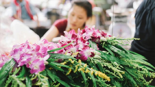Bangkok : croisière touristique en bateau à longue queue sur les canaux