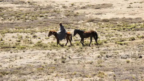 ทัวร์หนึ่งวันช่องเขาซานีและเลโซโทจากอันเดอร์เบิร์ก