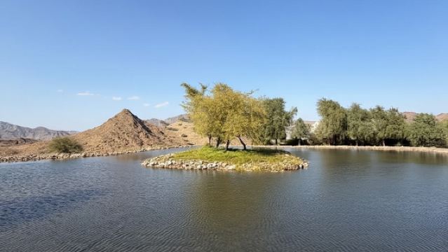 Desde Dubái: Excursión turística a Hatta con kayak