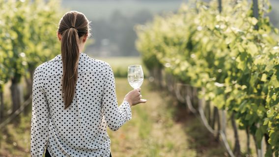 從悉尼出發：中文精緻小團-獵人谷品酒+中央海岸一日遊