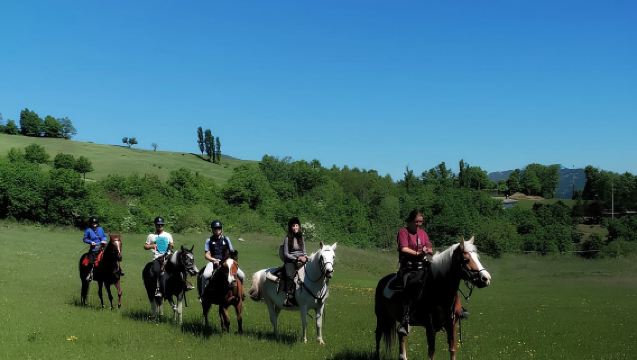 Vergato: Horseback Ride with Lunch at a Farmhouse