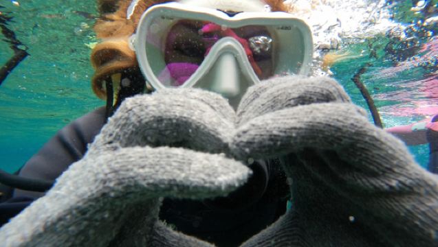 โอกินาว่า โอกินาว่า มารีน เซอร์วิส เฮกิ