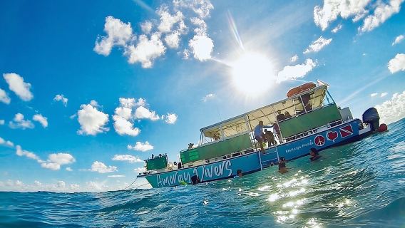 Half-Day Florida Keys Catamaran Snorkel Adventure