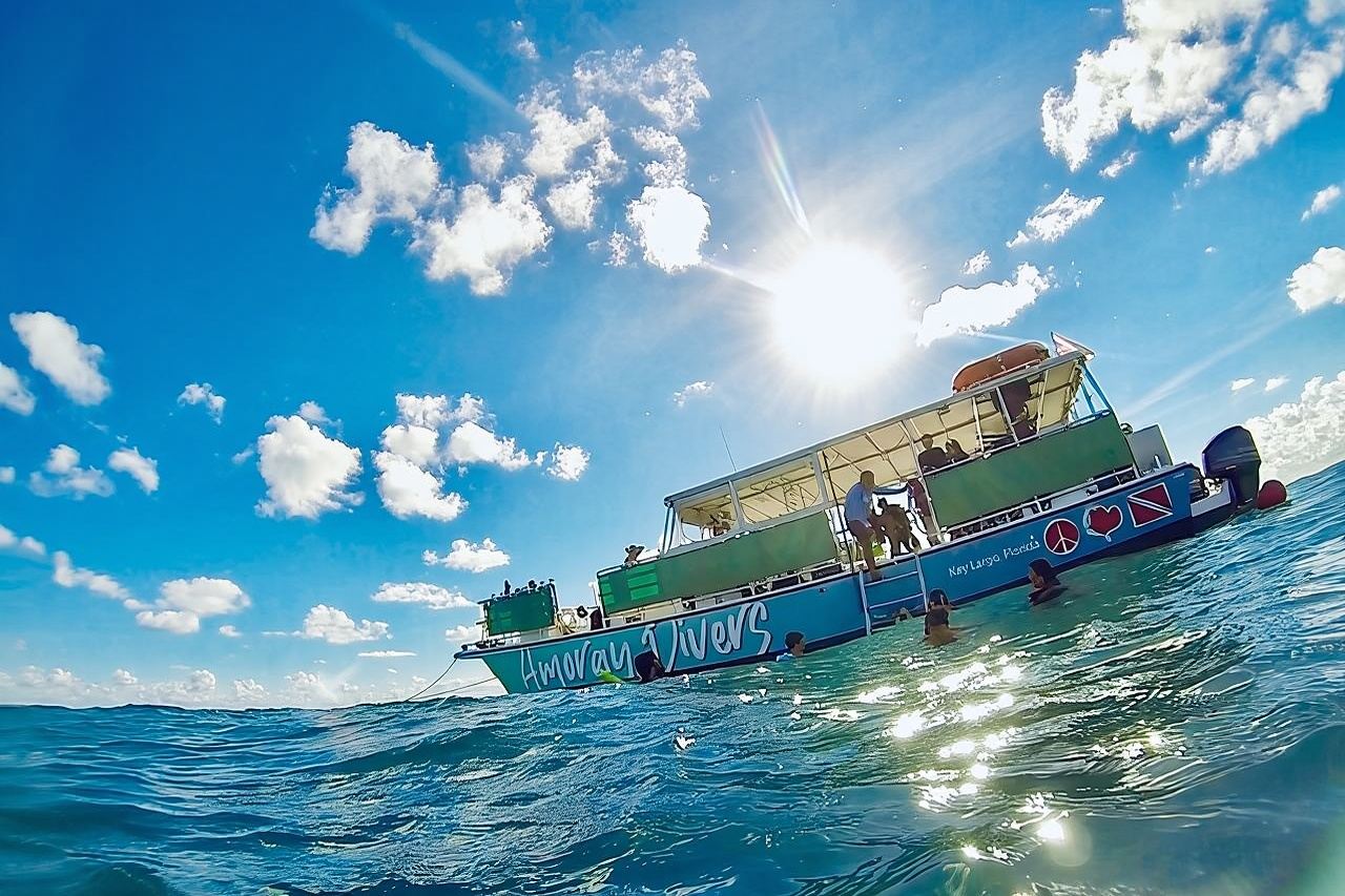 Aventura de medio día de esnórquel en catamarán por los Cayos de Florida