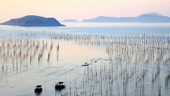 福建霞浦北岐灘塗+楊家溪+小皓海灘+東壁一日遊【純玩獨立團】