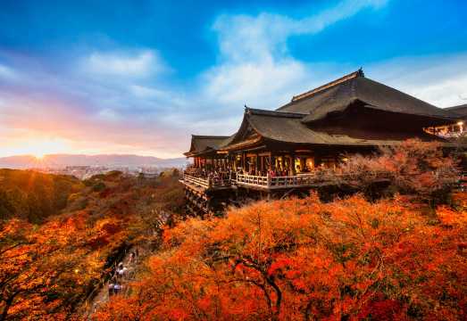 Japan Private Car Tour | Osaka Kyoto Nara Kobe Day Trip · Customized Private Tours · Chinese & English Services