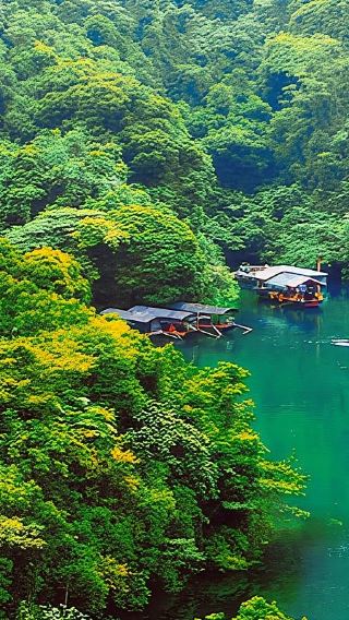 肇慶七星巖+古城牆+鼎湖山一日遊【司機兼導遊，小團包車遊】