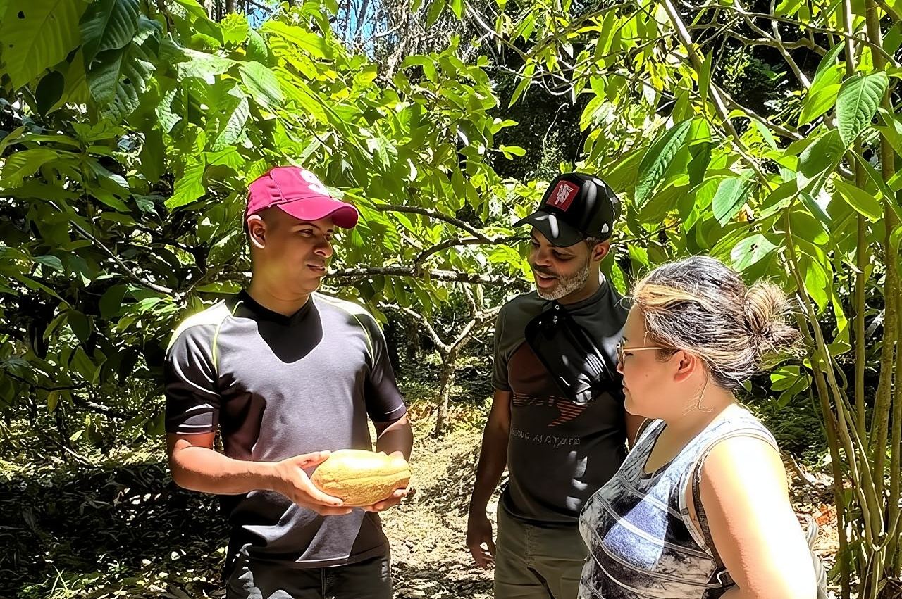 Esperienza magica al cioccolato e alla cascata Bribri