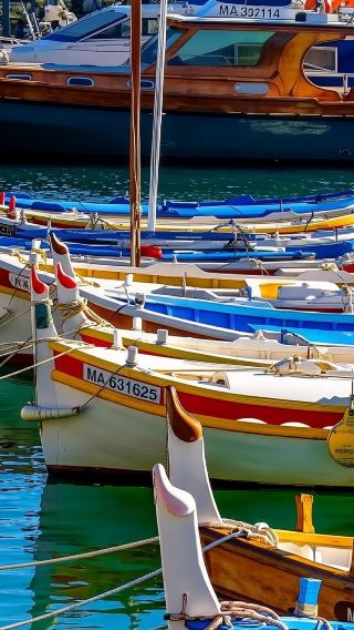 1-day tour to Bandol + Port de Cassis [Provence countryside/seaside vineyards]