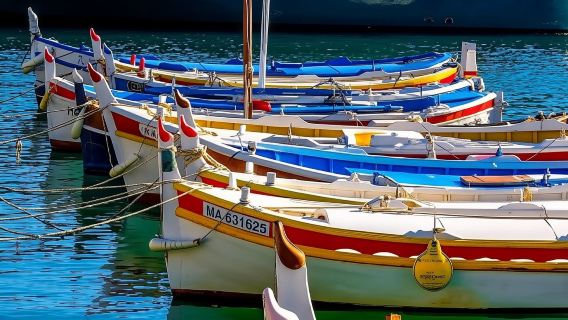 excursión de un día a Bandol y el puerto de Cassis (campiña provenzal/viñedos junto al mar)