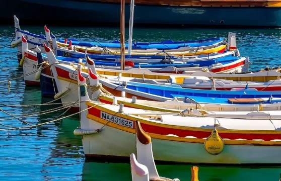 法國邦多勒+卡西斯港口一日遊【普羅旺斯鄉村/海濱葡萄園】