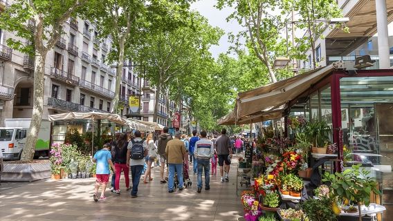 Barcelona Gothic Quarter Old Town Private Tour