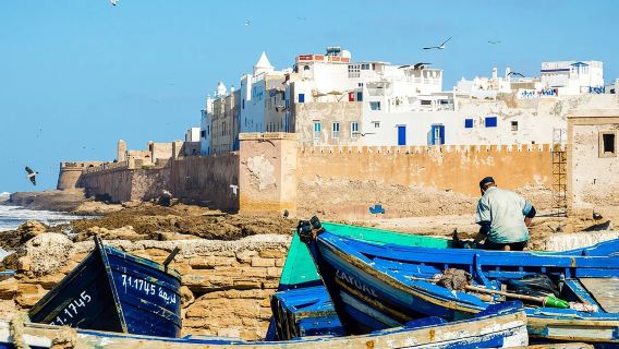 Excursión de un día completo de Marrakech a Essaouira Mogador|Grupo pequeño