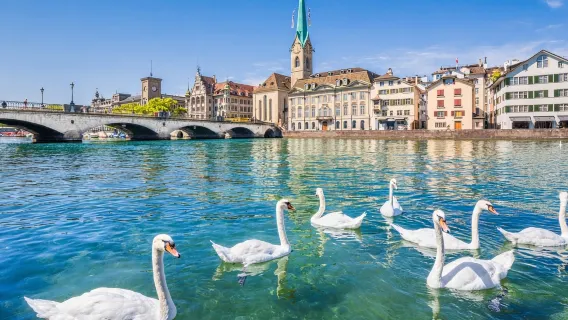 Zurich Old Town + Lake Zurich + Lindt Chocolate House Museum one-day tour[Cruise]