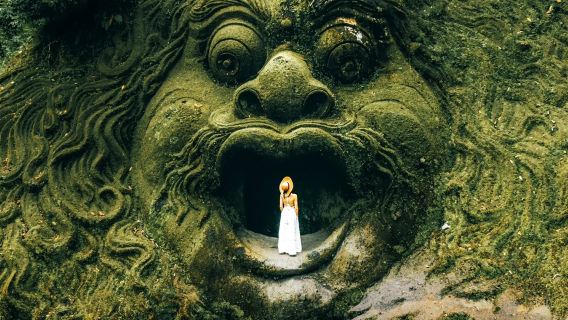 Bali + Tegalalang Rice Terraces + Holy Spring Temple + Ubud 1-day tour Temple Escape Alas Rice Terraces