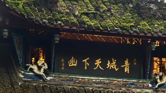 都江堰景區+青城山一日遊【2-8人小團/跟大團/含門票】