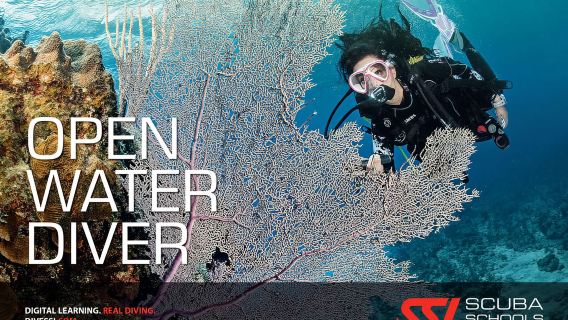SSI Open Water Diver Course 3 Days | Kota Kinabalu, Sabah