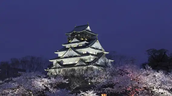 日本大阪天保山摩天輪+聖瑪利亞號帆船【普通話專車-舒適純淨】