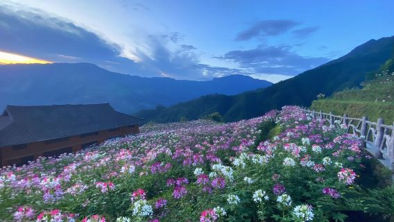 桂林龍勝紅軍岩+布尼梯田一日遊【紅色旅遊限量30元搶】