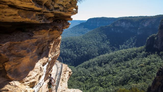 Tour al atardecer en las Montañas Azules con avistamiento de canguros desde Sídney